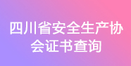 四川安全生產(chǎn)培訓(xùn)協(xié)會(huì)這個(gè)查詢(xún)